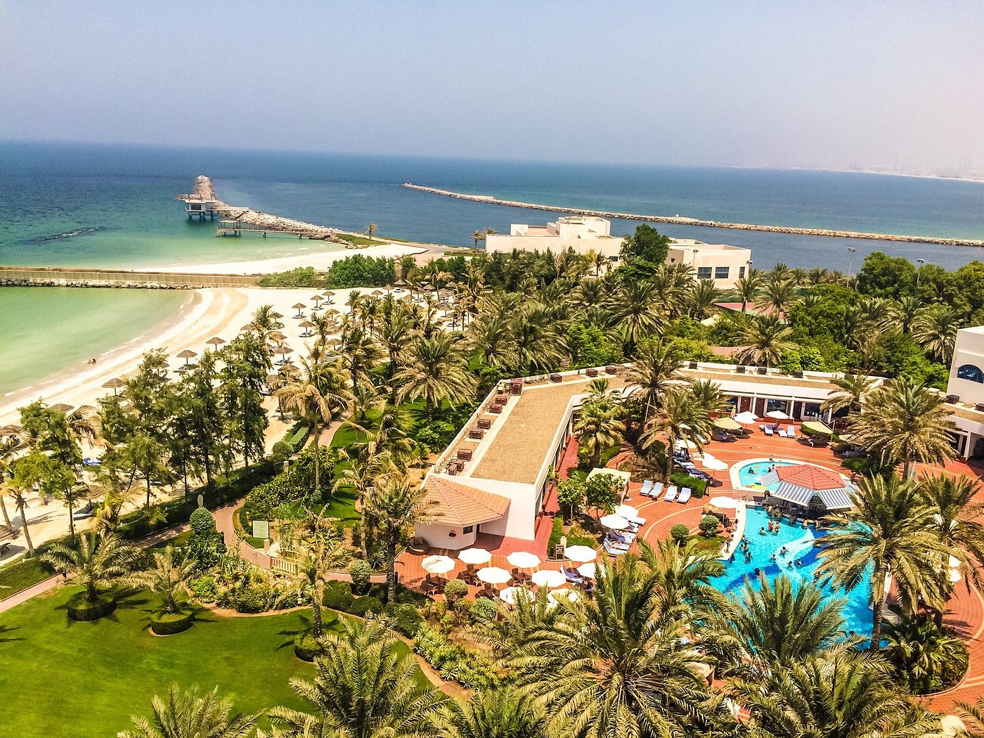 تنسيق حدائق عجمان
